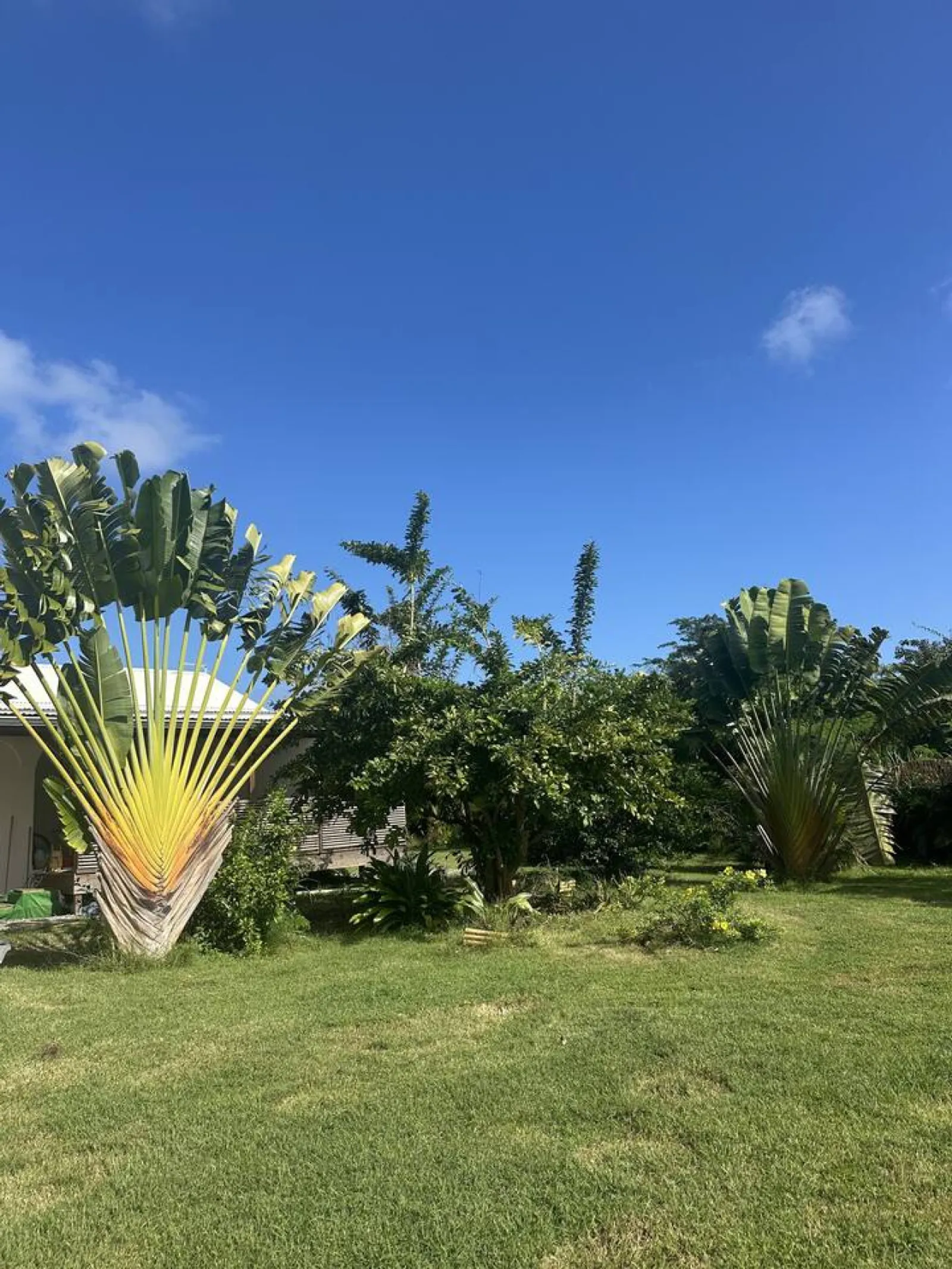 Villa Voyageurs — 2 chambres et jardin d'Eden